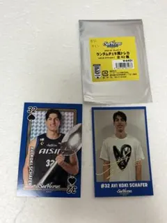 Bリーグ シーホース三河 2022 シェーファーアヴィ幸樹 金箔サイン