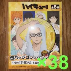 ハイキュー‼︎　缶バッジコレクション　月島蛍　38個セット