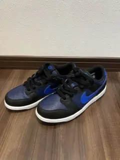 NIkE DUNK LOW ナイキ ダンクロー 22cm