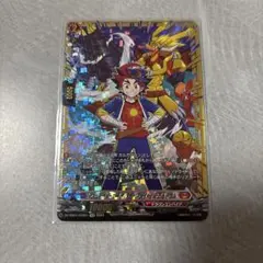 t*a様 バディファイト　引退品　激レアスリーブ　カード等多数 81JGlIFeNwL._AC_UF350,