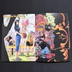 ONE PIECE 特典ブックカバー 2枚セット 非売品