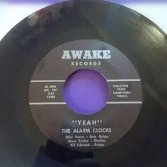 The Alarm Clocks 60s garage punk mod サイケ