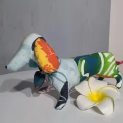 ハワイアンダックスフンド⑥