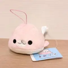 2026年最新】まめゴマぬいぐるみの人気アイテム - メルカリ