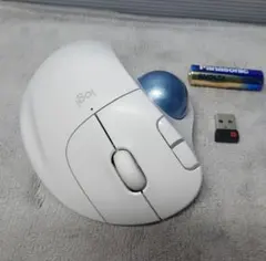 Item thumbnail for item 818723e3-49fd-44f8-92ea-bda92758852c