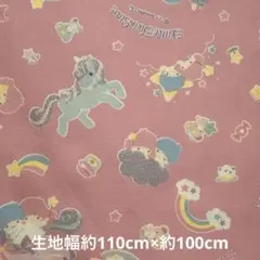 サンリオ リトルツインスターズ キキララ生地　110×100