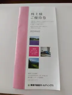 東急不動産ホールディングス　株主優待券