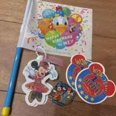 ディズニー　ウォルトディズニーワールドピンバッジ　フラッグ　ステッカー