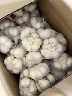 208..期間限定特売生にんにく新にんにく約10kg - メルカリ