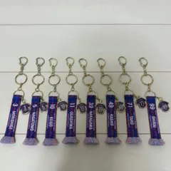 【FC東京】2024年 タオルマフラーキーホルダー