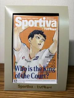 ハイキュー 集英社ムック『Sportiva』男子バレーボール日本代表特集号の付録