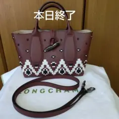 本日終了 LONGCHAMP ロゾS レア 刺繍2wayバッグ【未使用訳あり】