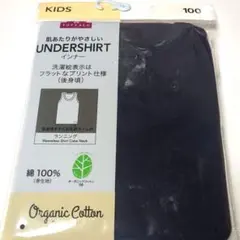 Item thumbnail for item 37bb4344-b086-484d-8a6d-754e9033aea2