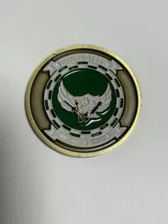 アメリカ海軍VFA-195 DAMBUSTERS チャレンジコインのサムネイル