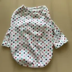 Item thumbnail for item 00e14e14-7d2b-4e26-8e4e-5d38e5daa7b9