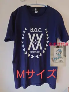 Item thumbnail for item 93e07414-2210-477b-9008-a321d982c229