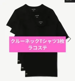 【新品】日本M~L 3枚セット LACOSTE クルーネックTシャツ ブラック