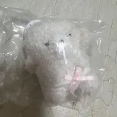 じょせまる ガチャ おぱんつ