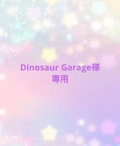 Dinosaur Garage様専用