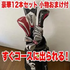 【豪華おまけ付】すぐコースに出られる！ミズノ等 ゴルフクラブ フルセット 12本のサムネイル