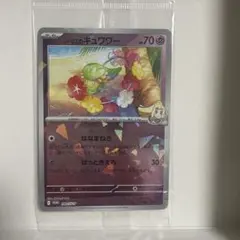 リーリエのキュワワー：コレクションファイルセット PROMO SV-P