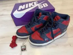 Supreme × NIKE SB Dunk High by Any Means