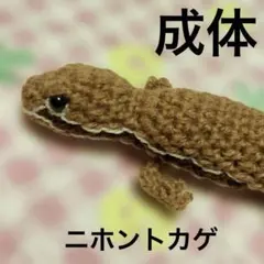 coppy22様 リクエスト 3点 まとめ商品