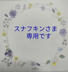 ♦スナフキンさま♦専用です