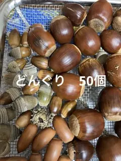 Item thumbnail for item cfdd8adb-7df1-4c65-a740-42633d54d91d