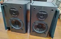 BIC DV62si プロケーブル 一本売り 程度良好 センターSPなどに最適 bic_dv62si_3.jpg