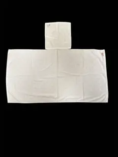 Item thumbnail for item c1cf48e9-c343-4600-9e7c-b61d3ca9cbbf