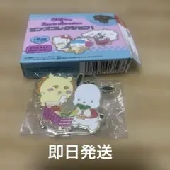 ちいかわ　サンリオピンズコレクション　シーサー　ポチャッコ