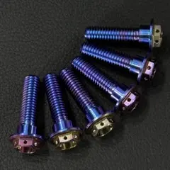 64チタン M8×30mm 6本 ブレーキ ディスク ボルト ZX- m1390 - メルカリ