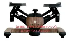 ✨美品✨東急スポーツ OASIS Re ツイストエアロステッパー Premium