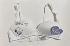 Item thumbnail for item d09528e2-dbca-43ed-b623-2f1fdc939236