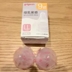 Item thumbnail for item b7e90d1a-d921-4a1b-a4b6-6e2fea615f70