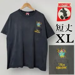 激レア 90s Disneyディズニー TYPHOON LAGOON Tシャツ - メルカリ