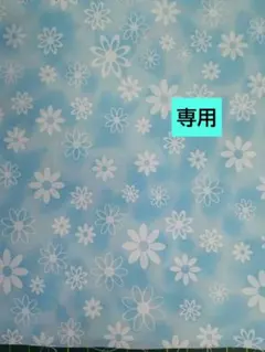 そら様専用です。