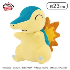 2026年最新】ポケットモンスター おしゃべりぬいぐるみ ヒノアラシの