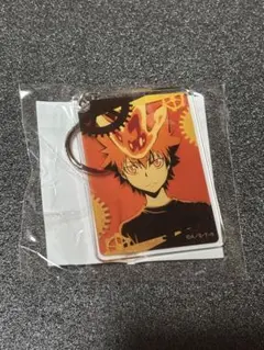 家庭教師ヒットマンREBORN オンラインクジら　アクリルキーホルダー　沢田綱吉