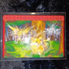 ポケットモンスター　ポケモン進化図鑑　カード