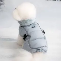 Item thumbnail for item fc53b822-038c-4256-82e3-b6a83052f917