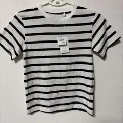 Item thumbnail for item 13e35456-e026-421d-bbbd-ad79c71ad08b