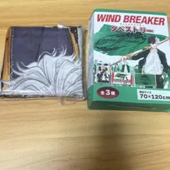 WIND BREAKER ウィンドブレイカー　タペストリー