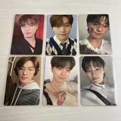 セブチ SEVENTEEN ディノ トレカ まとめ売り