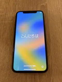 iPhone X 256GB