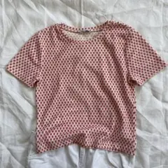 Zara ザラ　ドット　ピンク刺繍　半袖トップスタ