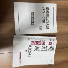 愛知県公立高校入試問題集 2025年のサムネイル