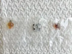 サンエックス マスコットチャーム 3個セット