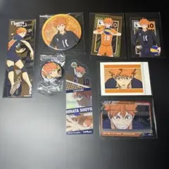 ハイキュー 日向翔陽セット